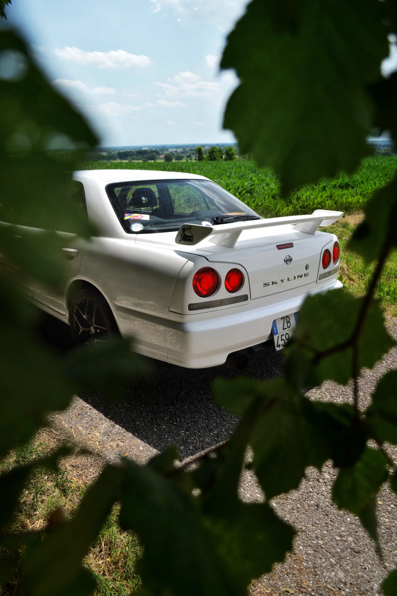 White Nissan Skyline rear view framed by leaves